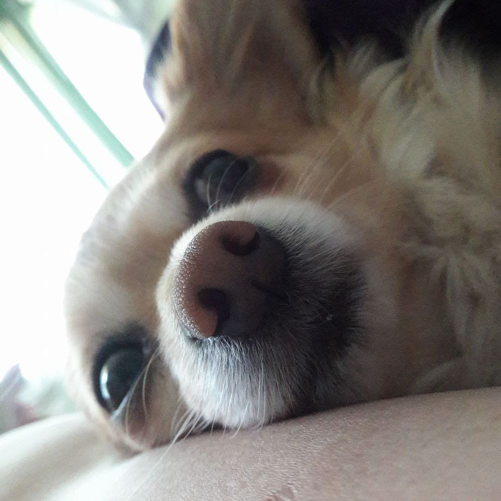 Meet your Posher, Sharon